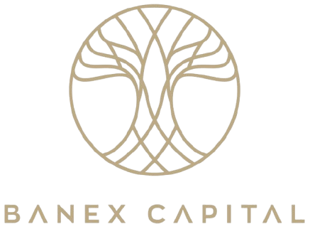 Banex Capital